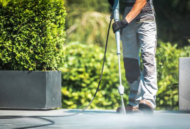 Best Rust Removal  in Woodstown, NJ