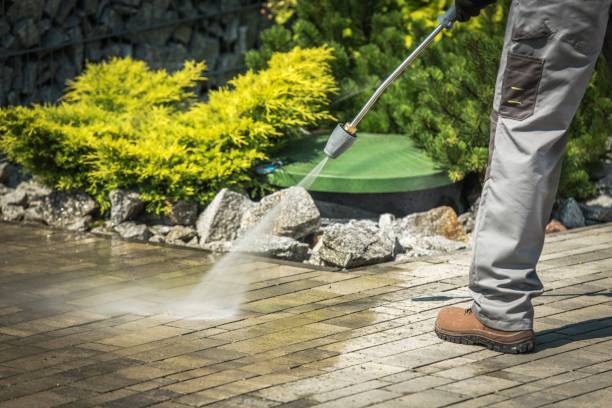 Best Sidewalk and Walkway Cleaning  in Woodstown, NJ