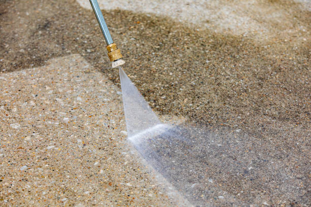 Best Pre-Holiday Cleaning  in Woodstown, NJ