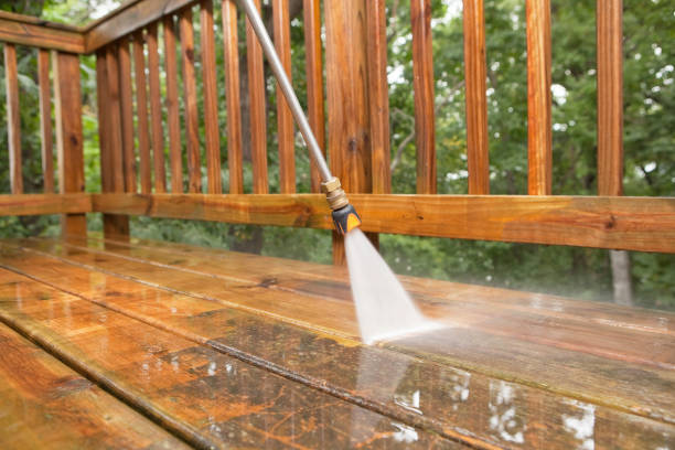 Best Dumpster Area Cleaning  in Woodstown, NJ